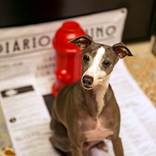 Barto Tapete Higiênico Lavável Meu Bartô Diário Canino Para Cães De Até 25Kg