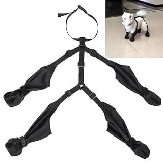 Dog Rain Boots, Waterproof Boots, Paw Protectors Dog Waterproof with Adjustable Suspenders & Paw Protectors for Medium Large, Shoes for Rainy, Hiking and Snowy Days, M, Loopunk