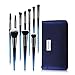 Makeup Brushes Set with a Portable Cosmetic Bag - HEDILINA 10 pcs Professional Makeup Brush Kit, Eyebrow Eyeshadow Eyelash Lip Foundation Blush Powder Blending Concealer Brushes (Sapphire Blue)