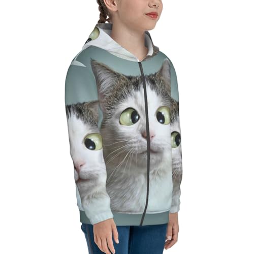 Funny Cat Kids Pullover Hoodies Boys Zip Up Sweatshirts Girls Athletic Clothes with Pocket4
