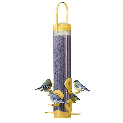 Perky-Pet 481F-1SR Finch Feeder with Flexports, Thistle Bird Feeder, Nyjer Bird Feeder, Outdoor Wild Bird Feeder