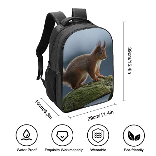 Mochila escolar unisex de ardilla 3D con medidas 40x28x16cm para adolescentes 2