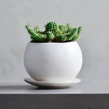 N0132【アメリカ】 5号 灰青 花びら 植木鉢 室内 陶器鉢 多肉植物 鉢植 230531001_r1.jpg