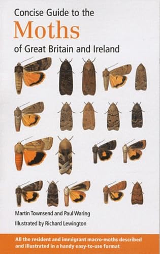 Concise Guide to the Moths of Great Britain and Ireland