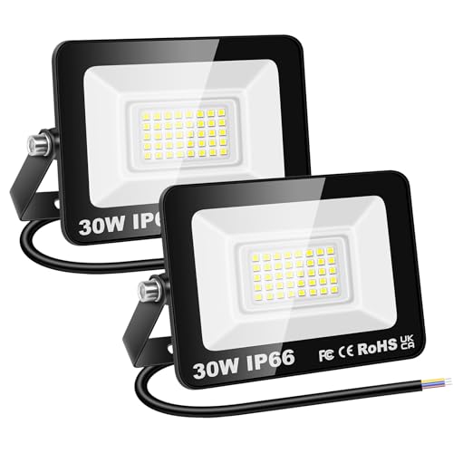 RIGIDON 30W LED Floodlight 2-Pack
