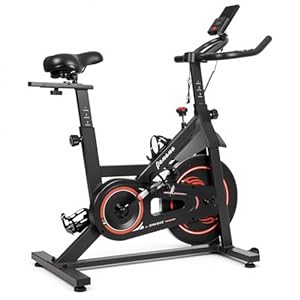 Panana Exercise Bike Indoor Cycling Cycle Bike Stationary for Home Gym Use, Spin Bike with Silent Flywheel, LCD Display, Heart Rate Sensor, Adjustable Height Training Cardio