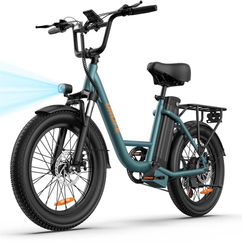 URLIFE Bicicleta Eléctrica para Adultos, 20 * 3" Fat Tire Bici Electrica con LCD, 48V 13Ah Batería Extraíble, 7 Velocidad E Bike para Cualquier Terreno