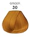 Adore Semi-Permanent Haircolor #030 Ginger 4 Ounce (118ml) (6 Pack)