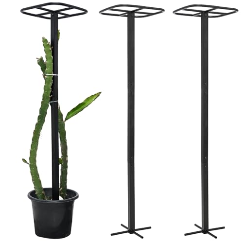 Yohsnor 2-Pack Metal Dragon Fruit Trellis - Durable Vertical Garden Support for Climbing Plants, Easy to Assemble, 12x12x50 Inches for Dragon Fruit Enthusiasts