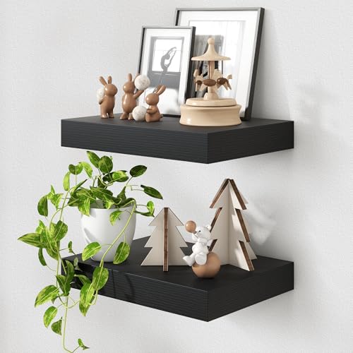 FLYJOE 12 Inch Deep Floating Shelves, 16 Inch Black Wall Shelves Set of 2