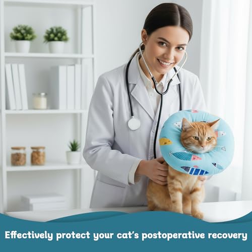 Wasserdicht Halskrause Katze Schmutzabweisend Katzenkragen Schutzkragen, Einstellbarer Halsband Soft, Weich Kragen Cone Nach Operation und Verletzungen für Welpen Hunde Wiederherstellung (Blau, S)