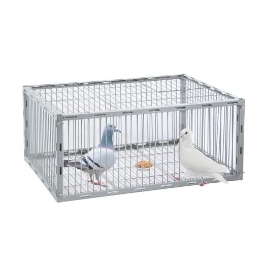 Pigeon Trap with Escape-Proof Design,Pigeon Cage with One-Way Entry,Ideal Pigeons Coop,Chicken and Bird Trap Cage,Portable & Easy Assembly,Unharmful Made of High-Strength Iron with Anti-Rust Paint