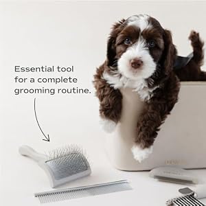 Slicker Brush for Professional and Luxury Dog Grooming to Prevent Matting with Dense and Extra Long Stainless Steel Pins (Goldendoodles, Labradoodles, Poodles) Slicker Brush for Professional and Luxury Dog Grooming to Prevent Matting with Dense and Extra Long Stainless Steel Pins Goldendoodles Labradoodles Poodles