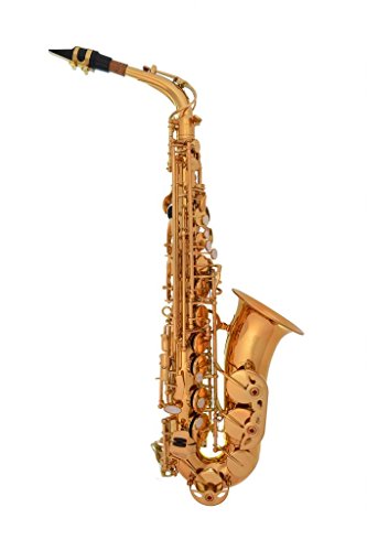 Lazarro Professional E-Flat Eb Alto Saxophone Sax, Gold Lacquer Body And Keys, With 11 Reeds, Case, Music Book, Mouthpiece And Many Extras - 360-Lq #TOP1