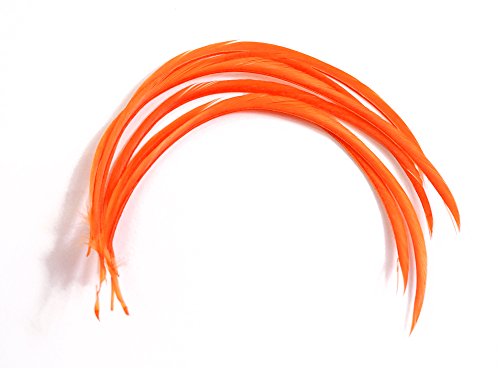 O[XoCIbg 6{ [025-Fe-06] IW/tC}eA H H ޗ ނ ѐj  ^CCO p[c