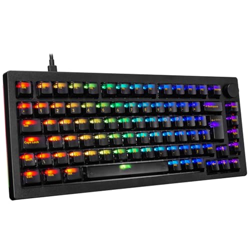 TECLADO AKKO CLEAR BLACK MODELO 5075S ABNT2 PRETO SWITCH CREAM BLUE V3 PRO
