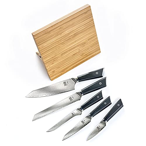 Mercer Culinary Premium Grade Super Steel 6-Piece Knife Set With Magnetic Bamboo Stand, G10 Handles #TOP4