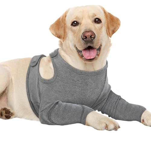  nr  앞  ʋC _炩 Lk 畆ی ȒPȒE ߉\ rߖh~ pŒ O I  ی pی pi ֐ߕی ^^p (M)