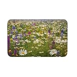 Tapete de bienvenida antideslizante para interiores y exteriores, tapete de bienvenida con flores de prado de primavera, tapete para entrada, porche, lavandería, baño, dormitorio, alfombra de 20 x