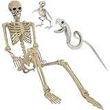 【MEHRERE FUNKTIONEN】 Das schreckliche Skelett eignet sich sehr gut für allen Arten von Horror Partys, Karneval, Fasching und selbstverständlich Halloween. Diese Ganzkörper-Skelett-Requisiten können eine super beängstigende Atmosphäre schaffen.