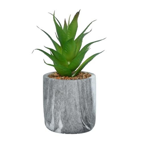 Cortina Potted Plant Eco Sustainable Flower for Home - Multicolor-4