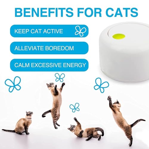 ALL FOR PAWS Interactives Cat Teaser Toy Catnip Toy Flutter Bug Cat Wand Toy Cat Fun Playing Toys Kitten Toys (Shiny Butterfly)