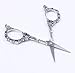 BIHRTC Vintage European Style Plum Blossom Scissors for Embroidery, Sewing, Craft, Art Work & Everyday Use (Silver)