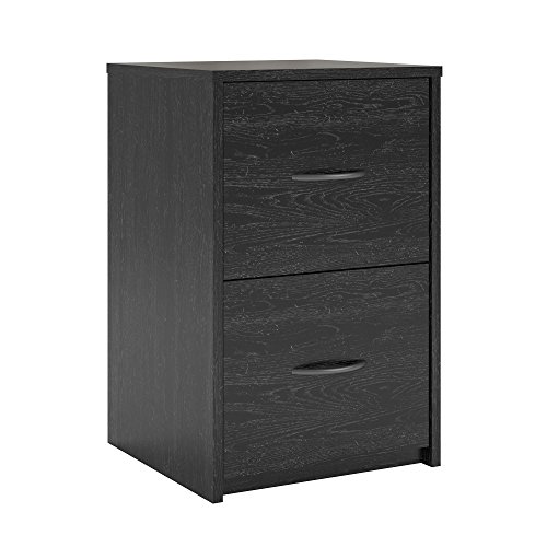 Ameriwood Home Core 2 Drawer File Cabinet, Black Oak