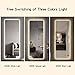 LAIYA Full Length Mirror LED Lighted Vanity Wall-Mounted Mirror Intelligent Human Body Induction Mirrors Big Size Rounded Corners, Bedroom,Living Room,Dressing Room Hotel 65”X22”