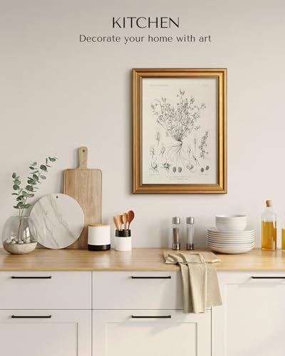 Image of HUARCEY Gold Framed Vintage Wall Art for Living Room, Flowers Painting Prints Shelf Decor for Kitchen, Aesthetic Bedroom Wall Art, Best Gifts for Friends or Family - Veronica biloba 16L x 12W