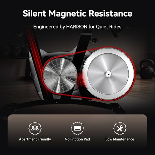 Image of HARISON Exercise Bike for Home, Rear-Flywheel Magnetic Stationary Bike, Quiet Indoor Cycling Bike with 400-LB Capacity, Heavy-Duty Steel Frame, Adjustable Seat & Handlebar, Tablet Holder