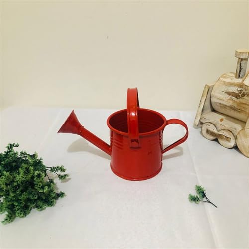 Lot de 6 arrosoirs miniatures en fer résistant pour vos plantes de balcon