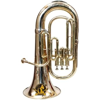 Euphonium 3 Valve BB Pitch Premium Quality Includes Mouthpiece and Carry Bag BRASS