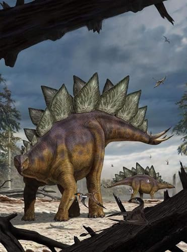 Komar Dino Vlies Fototapete - Stegosaurus - Größe: 184 x 248 cm (Breite x Höhe) - Dinosaurier, Dino, Jurrasic, Kinderzimmer, Tapete - XXL2-530 Bunt
