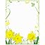 Daffodil Delight