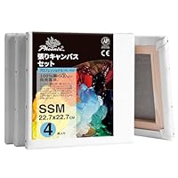 Amazon.co.jp: PHOENIX 全麻 中目纹布面 張りキャンバス S4 (33.3cmX33