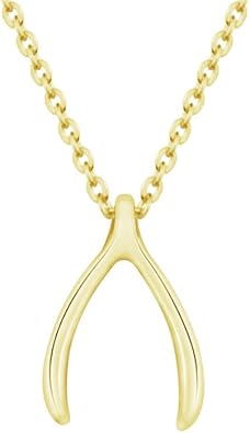 AOCHEE Delicate Lucky Wishbone Pendant Necklace Good Luck Wishbone Necklace 16"