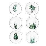 YCBH 8 Inch Set of 6 Assorted Designs, Porcelain Plates with Plants Pattern, White Ceramic Dinnerwar