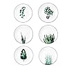 8 Inch Set of 6 Assorted Designs Porcelain Plates with Plants Pattern White Ceramic Dinnerware for Steak Luncheon Salad Dessert Serving Bread Microwave Oven Dishwasher Safe