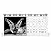 Bats 2026 Desk Calendar