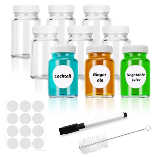 Ledebouk 9 Piezas Botes Cristal Pequeños, 60ml Botellas Pequeñas para Rellenar, Botellitas para Shots con Pinceles, Bolígrafos, Etiquetas, Tarros de Cristal con Tapa para Zumos, Vino, Especias
