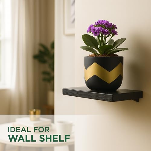 Image of Urban Plant Terracotta Pot - Trendy Planter for Modern Home & Garden Spaces (Nova Terracotta Pot - Black)