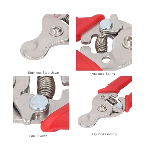 Alicate para remoção de brincos, ferramenta de aço inoxidável para remoção de brincos, alicate versá