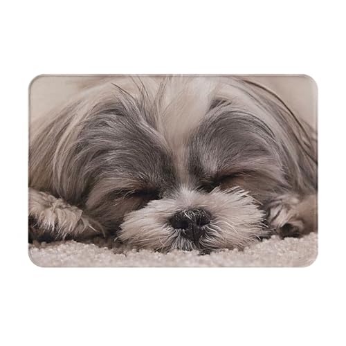 ���փ}�b�g �V�[�Y�[ �� ���� ���O ����~�� �􂦂� �k���� �t�����l�� �z������ �h�L �R�� ���� ������� 40×60cm �o�X�}�b�g �L�b�`���}�b�g