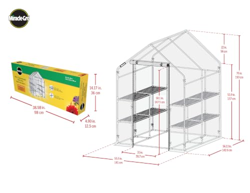 Miracle-Gro Walk-in Greenhouse, Removable Shelves, Clear, 4'8" Square - image 3