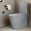 St. Tropez One-Piece Elongated Toilet VortexTM Dual-Flush 1.1/1.6 gpf in Glossy Gray
