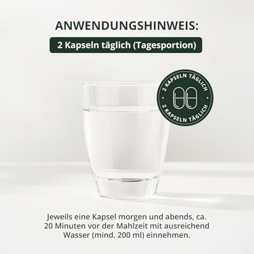 BodyFokus Clean Body Restart - Leber, Homocystein und Fettstoffwechsel - 60 Kapseln - made in Germany