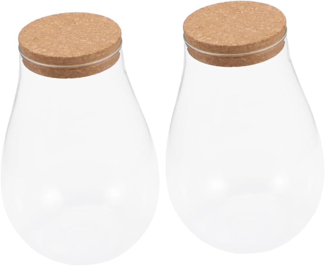 2pcs Landscape Glass Terrarium Bottle Cork Decorative Air Planter for Home Decor for Flowers and Indoor Plants Display Glass Decorative Container