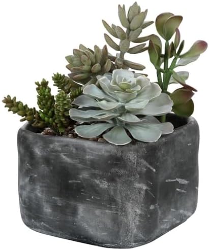 Uttermost Alverio - 10 inch Desert Garden Succulents
