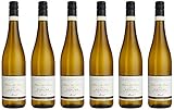 riesling Empfohlene Trinktemperatur: ca. 10-12°C.
